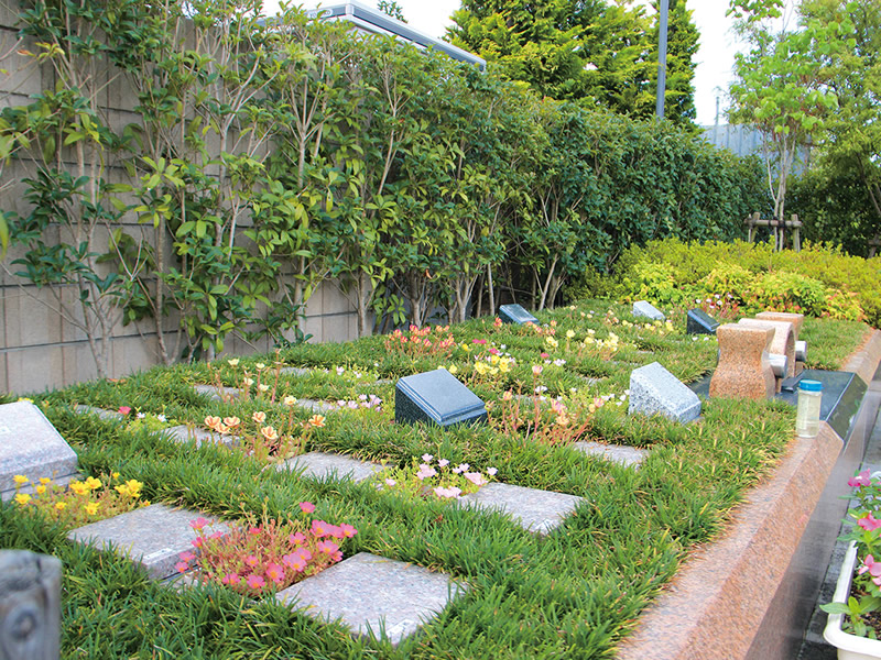 朝霞フォーシーズンメモリアル