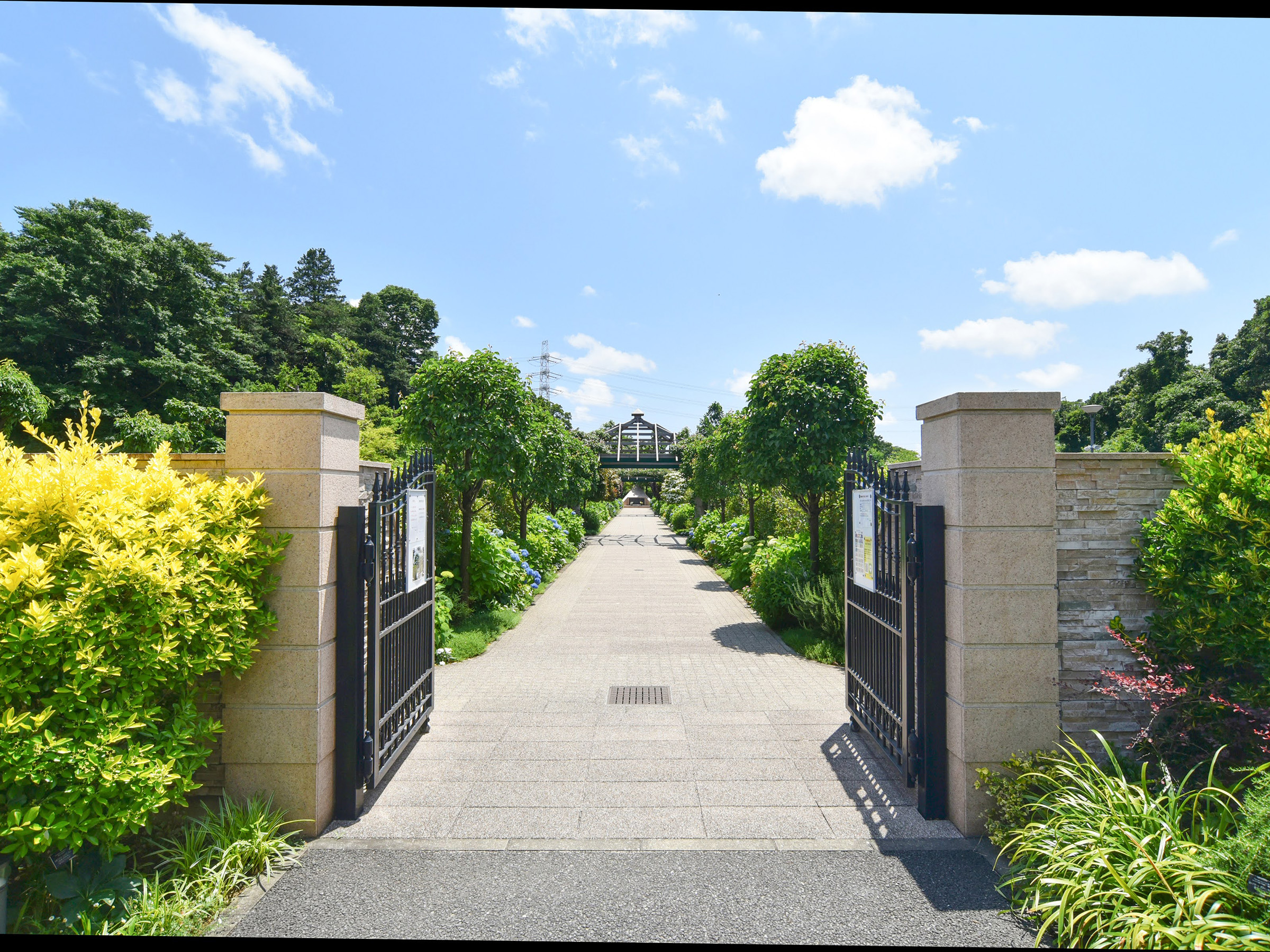 永代供養墓「花ことば」