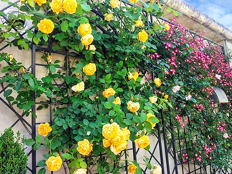 板橋区 永代供養墓「風の標識」