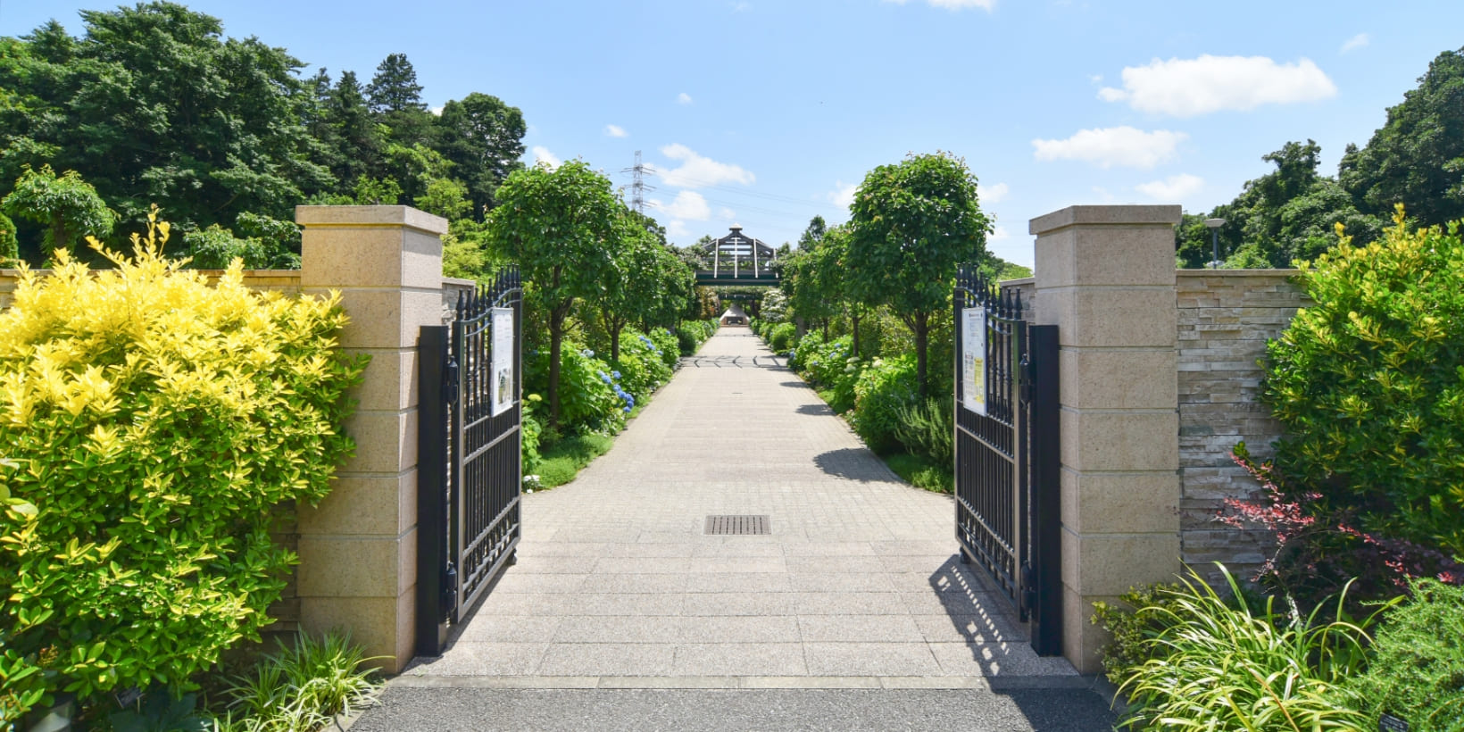 海老名フォーシーズンメモリアル