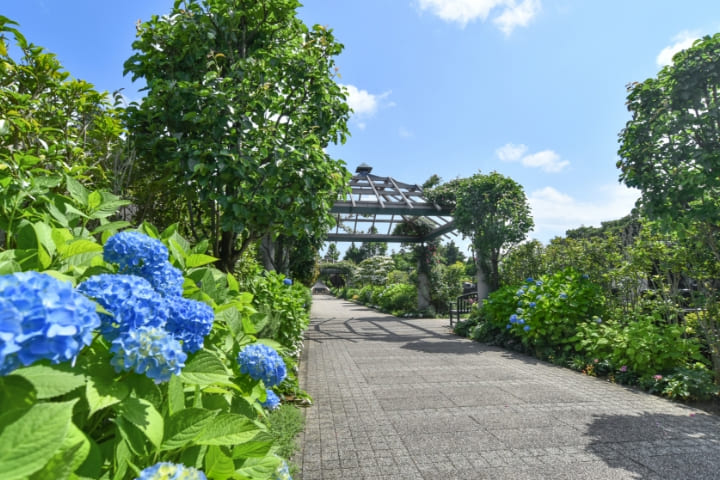 海老名フォーシーズンメモリアル