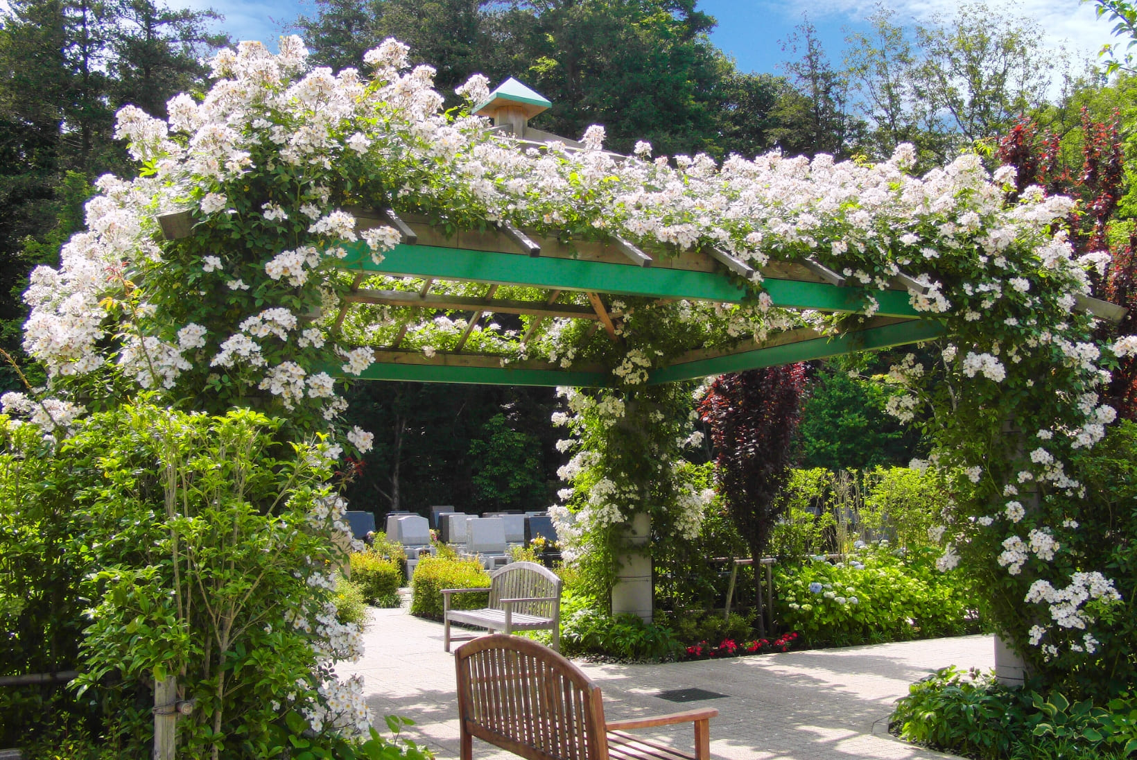 海老名フォーシーズンメモリアル